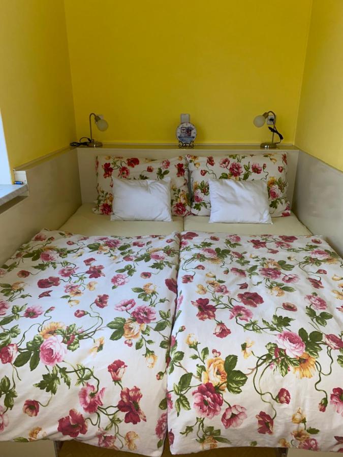 Rodinny Apartman 3+1 Horni Mesto Exteriör bild