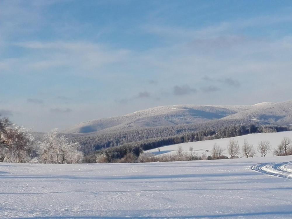 Rodinny Apartman 3+1 Horni Mesto Exteriör bild